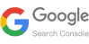Google search console
